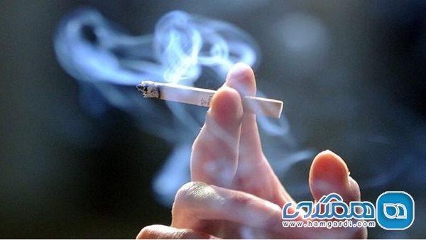احتمال ابتلا به کرونا از طریق مصرف سیگار و قلیان احتمال ابتلا به کرونا از طریق مصرف سیگار و قلیان